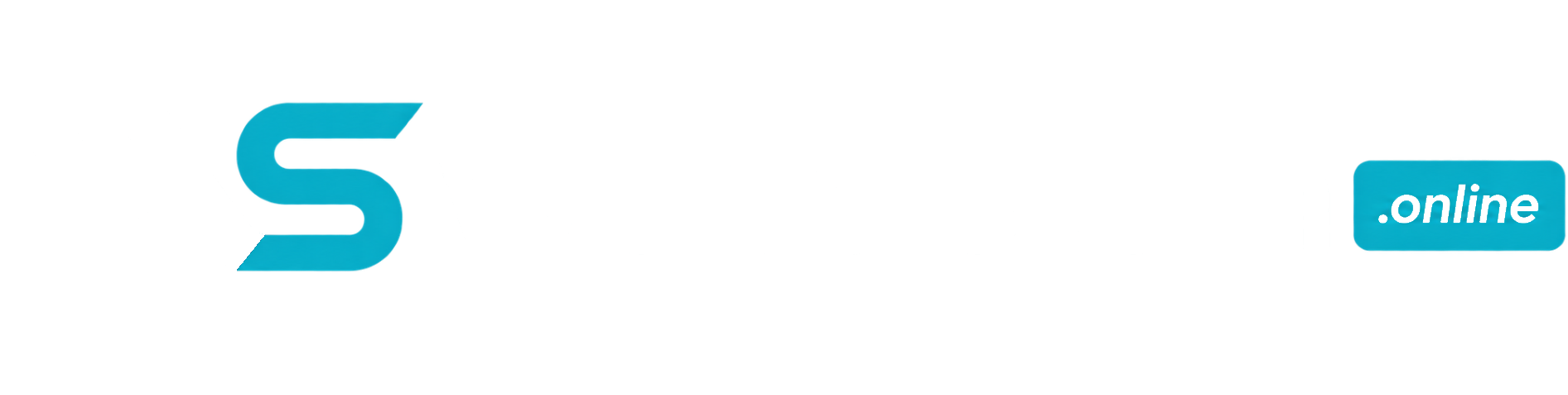 WebSistem.online footer logo